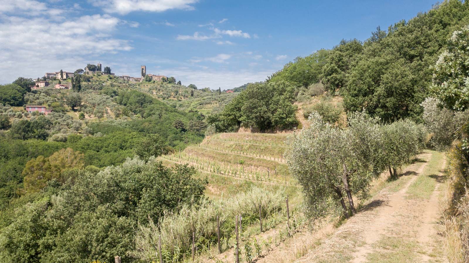 campagna intorno alle terre di còcomo